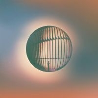 Ellsworth Daniel & The Great Lakes - High Life in the group VINYL / Pop-Rock at Bengans Skivbutik AB (5522712)
