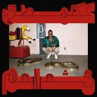Shabazz Palaces - Robed In Rareness in the group OUR PICKS / Friday Releases / Friday the 29th of Mars 2024 at Bengans Skivbutik AB (5522811)