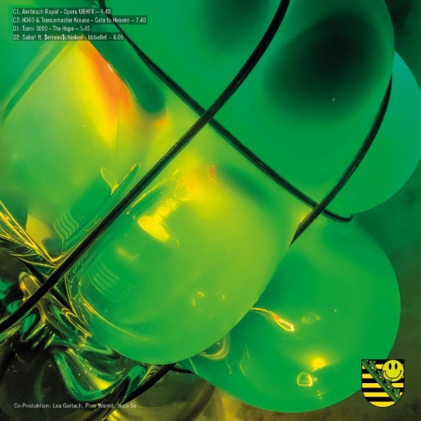 Various Artists - Sachsentrance X Durch in the group VINYL / Bestsellers at Bengans Skivbutik AB (5525956)