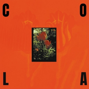 Cola - The Gloss (Indie Exclusive, Transpa in the group OUR PICKS / Friday Releases / Friday the 14th of June 2024 at Bengans Skivbutik AB (5532795)