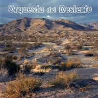 Orquesta Del Desierto - Orquesta Del Desierto (Vinyl Lp) in the group OUR PICKS / Friday Releases / Friday the 31st of May 2024 at Bengans Skivbutik AB (5535794)