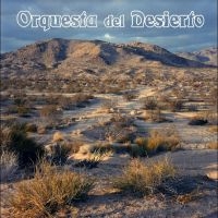 Orquesta Del Desierto - Orquesta Del Desierto in the group OUR PICKS / Friday Releases / Friday the 31st of May 2024 at Bengans Skivbutik AB (5535797)