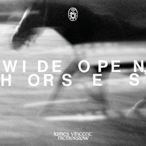 James Vincent Mcmorrow - Wide Open, Horses in the group OTHER / Övrigt /  at Bengans Skivbutik AB (5539230)