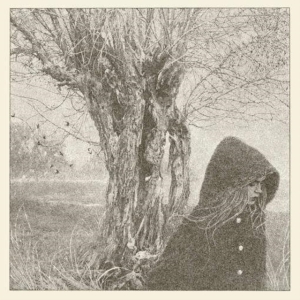 Lankum - Between The Earth And Sky in the group CD / Pop-Rock at Bengans Skivbutik AB (5539339)