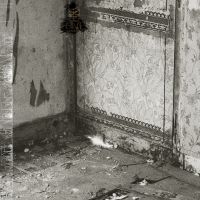 Khanate - Clean Hands Go Foul in the group VINYL / Hårdrock at Bengans Skivbutik AB (5539731)
