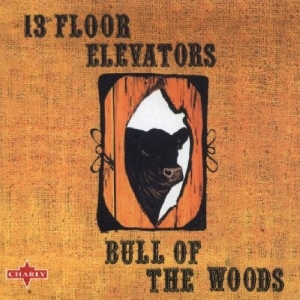 13Th Floor Elevators - Bull Of The Woods in the group VINYL / Pop-Rock at Bengans Skivbutik AB (5539744)