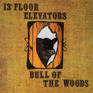 13Th Floor Elevators - Bull Of The Woods in the group CD / Pop-Rock at Bengans Skivbutik AB (5539749)