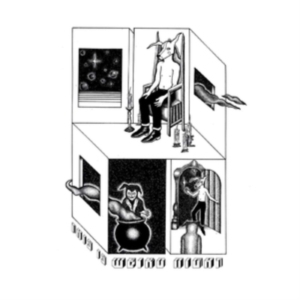 Weird Night - This Is Weird Night in the group OTHER / Övrigt /  at Bengans Skivbutik AB (5540095)