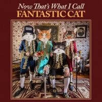 Fantastic Cat - Now That's What I Call Fantastic Ca in the group CD / Upcoming releases / Pop-Rock at Bengans Skivbutik AB (5540189)
