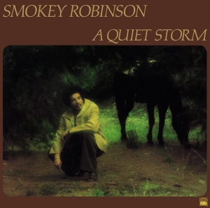 Smokey Robinson - A Quiet Storm in the group OTHER / Övrigt /  at Bengans Skivbutik AB (5540391)