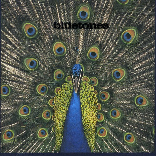 Bluetones - Expecting To Fly in the group OTHER / Övrigt / at Bengans Skivbutik AB (554304)