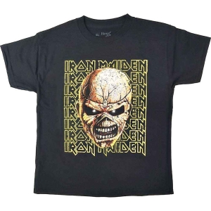 Iron Maiden - Big Trooper Head Boys T-Shirt Bl in the group MERCHANDISE / Merch / Nyheter / Hårdrock at Bengans Skivbutik AB (5548728r)