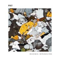 Filt - Maximal Minimalism in the group VINYL / Upcoming releases / Pop-Rock at Bengans Skivbutik AB (5549569)