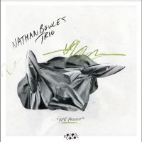 Bowles Nathan Trio - Are Possible in the group CD / Pop-Rock at Bengans Skivbutik AB (5549967)