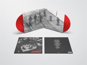 Jungle By Night - Synergy in the group OTHER / Övrigt /  at Bengans Skivbutik AB (5550100)