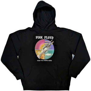 Pink Floyd - Wywh Circle Icons Uni Bl Hoodie in the group OTHER / Övrigt / at Bengans Skivbutik AB (5553932r)