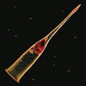 Leprous - Melodies Of Atonement in the group OTHER / Övrigt / at Bengans Skivbutik AB (5555708)