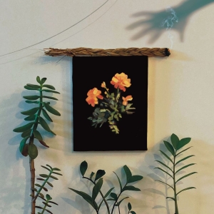 Why? - The Well I Fell Into (Coke Bottle C in the group OUR PICKS / Friday Releases / Friday the 2th august at Bengans Skivbutik AB (5556071)