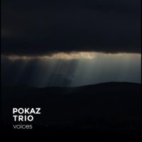 Pokaz Trio - Voices in the group OUR PICKS / Friday Releases / 2025-04-25 at Bengans Skivbutik AB (5556506)
