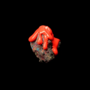 Rubber Oh - Soil in the group OUR PICKS / Friday Releases / Friday the 20th of september 2024 at Bengans Skivbutik AB (5556906)