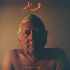 Jaubi - A Sound Heart in the group OTHER / Övrigt / at Bengans Skivbutik AB (5557246)