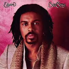 Edwin Birdsong - Edwin Birdsong in the group OUR PICKS / Friday Releases / Friday the 30:th august 2024 at Bengans Skivbutik AB (5558800)
