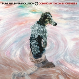Pure Reason Revolution - Coming Up To Consciousness in the group OTHER / Övrigt /  at Bengans Skivbutik AB (5558837)