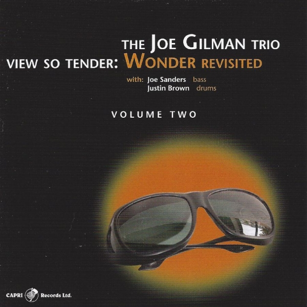 Joe Gilman - View So Tender: Wonder Revisited Vo in the group CD / Bestsellers at Bengans Skivbutik AB (5559084)