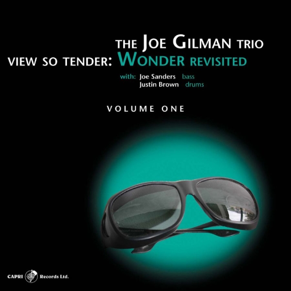 Joe Gilman - View So Tender: Wonder Revisited Vo in the group CD / Bestsellers at Bengans Skivbutik AB (5559087)