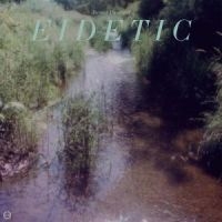 Pioulard Benoit - Eidetic in the group CD at Bengans Skivbutik AB (5559362)