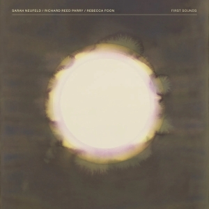Sarah Neufeld & Richard Reed Parry & Rebecca Foon - First Sounds in the group CD / Pop-Rock at Bengans Skivbutik AB (5560004)