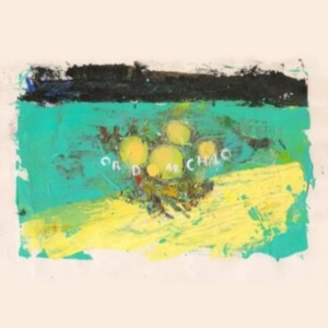 Big Ups - Eighteen Hours Of Static (Tin Vinyl in the group OTHER / Övrigt /  at Bengans Skivbutik AB (5560077)
