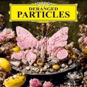 Felix Henkelhausen - Deranged Particles in the group OTHER / Övrigt /  at Bengans Skivbutik AB (5560471)