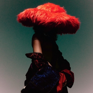 Carlita - Sentimental (Red Vinyl) in the group OUR PICKS / Friday Releases / Friday the 15th of november 2024 at Bengans Skivbutik AB (5560989)