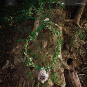 Pharmakon - Maggot Mass in the group OUR PICKS / Friday Releases / Friday the 4th of october 2024 at Bengans Skivbutik AB (5561597)