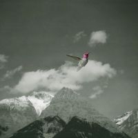 Bardo Pond - Melt Away in the group VINYL / Pop-Rock at Bengans Skivbutik AB (5561701)