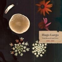 Largo Hugo - Huge, Large And Electric: Hugo Larg in the group VINYL / Pop-Rock at Bengans Skivbutik AB (5562651)