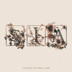 Sia - Colour The Small One in the group OUR PICKS / Friday Releases / Friday the 6th of september 2024 at Bengans Skivbutik AB (5562920)