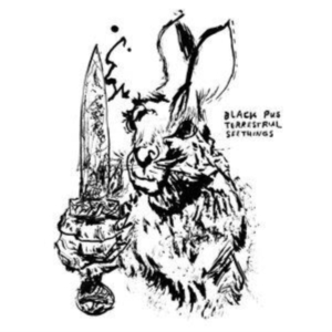 Black Pus - Terrestrial Seethings in the group OUR PICKS / Friday Releases / Friday the 18th of october 2024 at Bengans Skivbutik AB (5563690)