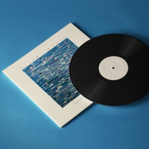 Field Music - Limits Of Language in the group OUR PICKS / Friday Releases / Friday the 11th october 2024 at Bengans Skivbutik AB (5564471)
