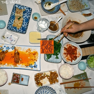 Vices The - Before It Might Be Gone in the group CD / Pop-Rock at Bengans Skivbutik AB (5564770)