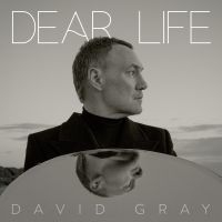 David Gray - Dear Life (Ltd Sea Weed Green Vinyl) 2LP in the group VINYL / Bestsellers at Bengans Skivbutik AB (5565976)