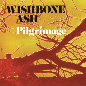 Wishbone Ash - Pilgrimage in the group OTHER / Övrigt /  at Bengans Skivbutik AB (5566347)