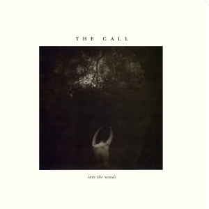 The Call - Into The Woods in the group OTHER / Övrigt /  at Bengans Skivbutik AB (5567018)