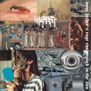 Collapsed Skull - Your Father?S Rage Evaporated In Th in the group VINYL / Hårdrock at Bengans Skivbutik AB (5567576)