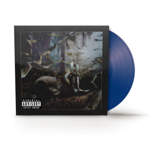 Earl Sweatshirt - Feet Of Clay (RSD) in the group OUR PICKS / Bengans Staff Picks / Handpicked hip-hop through the years at Bengans Skivbutik AB (5567887)