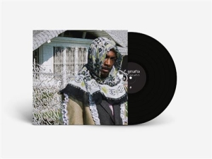 Jpegmafia - All My Heroes Are Cornballs in the group VINYL / Pop-Rock at Bengans Skivbutik AB (5568099)