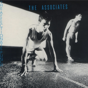 The Associates - The Affectionate Punch in the group OUR PICKS / Friday Releases / Friday the 15th of november 2024 at Bengans Skivbutik AB (5568624)