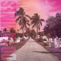 Dopamines The - 80/20 in the group VINYL / Pop-Rock at Bengans Skivbutik AB (5569123)