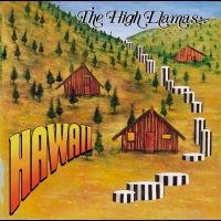 The High Llamas - Hawaii in the group VINYL / Bestsellers at Bengans Skivbutik AB (5569130)